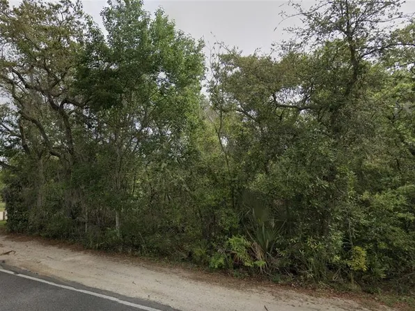 NE 154TH PLACE LOT 5, FORT MC COY, FL 32134