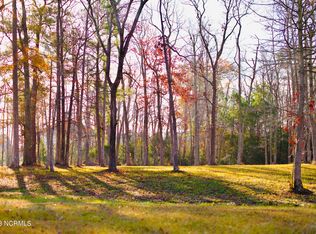 161 Sunshine Dr, Arapahoe, NC 28510