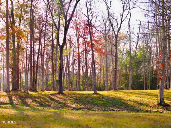 161 Sunshine Dr Lot 44, Arapahoe, NC 28510