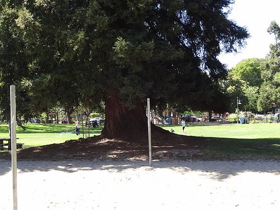 Johnson park across the street