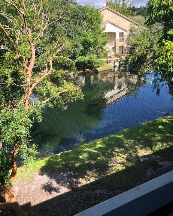view from patio