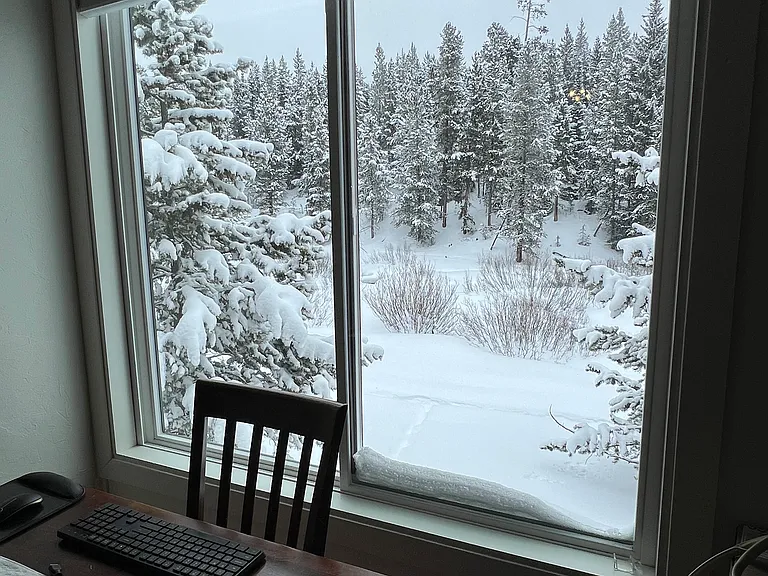 Kitchen/Dining Room Window