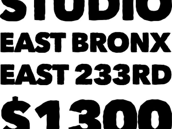5th image of 1030 E 233rd St #Basement