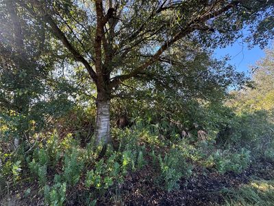 14928 NW 260th Street, Okeechobee, FL, 34972