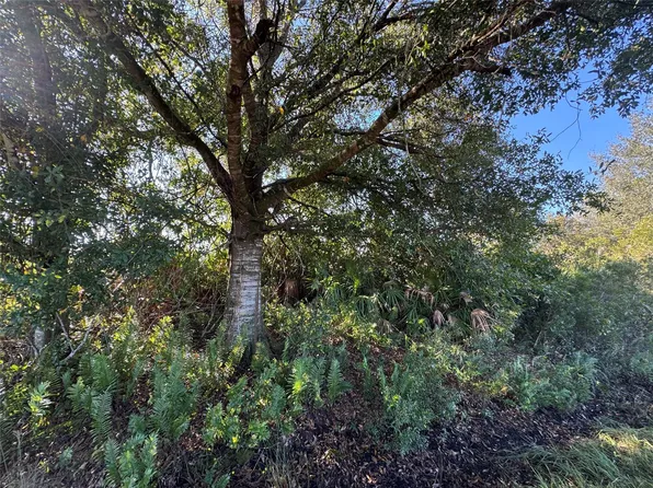 14928 NW 260th Street, Okeechobee, FL 34972