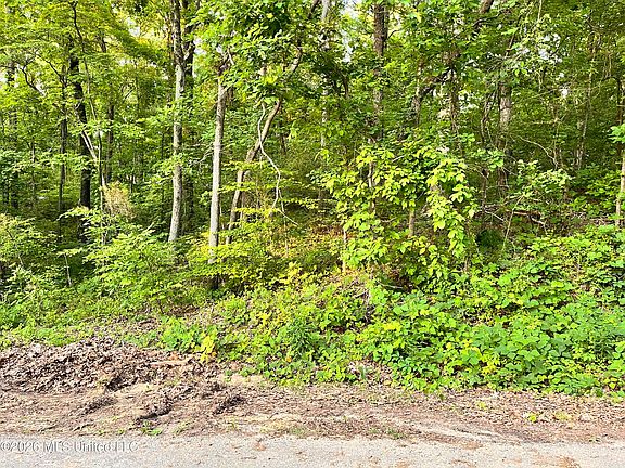 2nd image of 0 Snow Lake Dr Lot 378