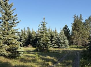 111XX S Spruce Tree Ln, Mica, WA 99023