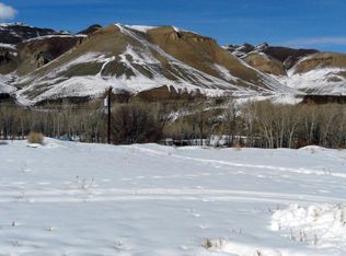 250 Pickett Loop, Challis, ID 83226