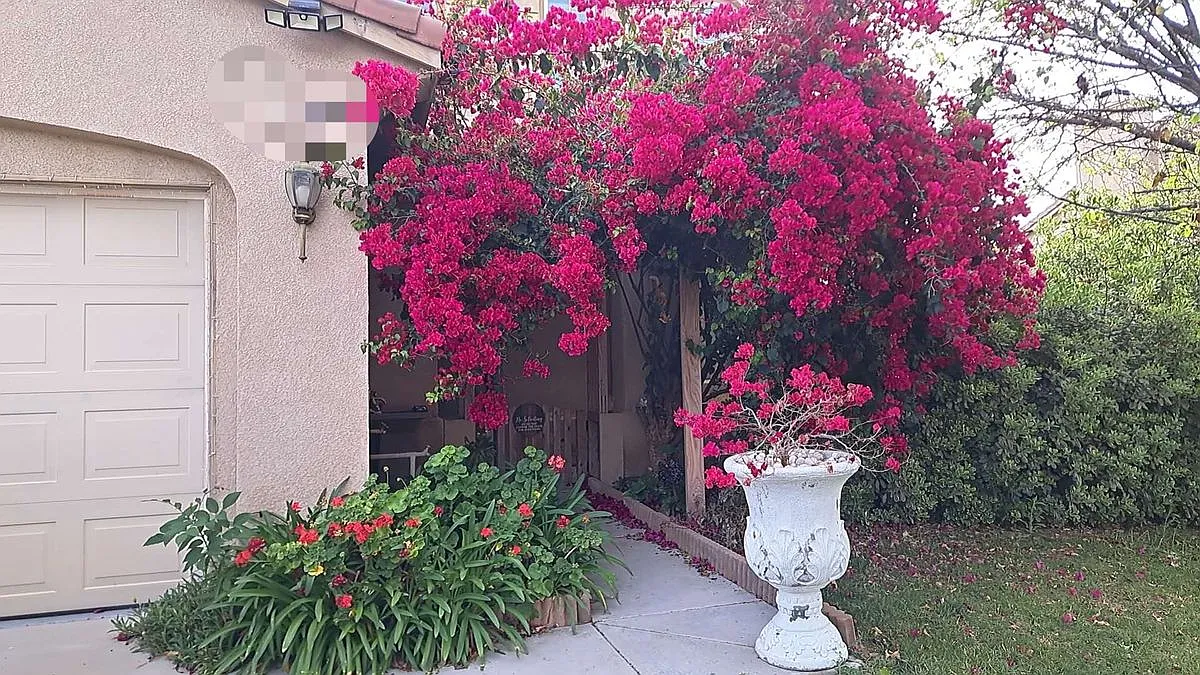 4 bed, 3.0 bath, 2570 sqft, $1,600 — Photo 3