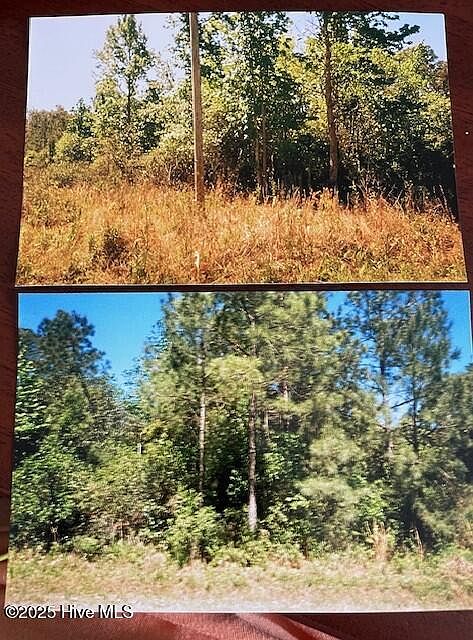 2nd image of 599 Drayton Road