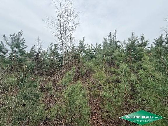 4th image of 0 Old Snipe Rd