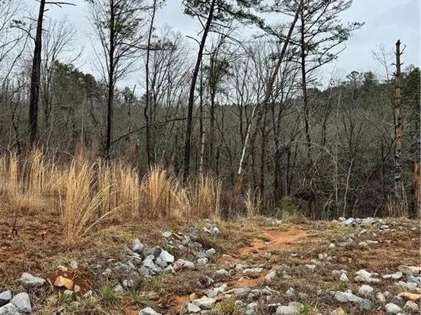 171 Ridge Line Ct, Ellijay, GA 30540
