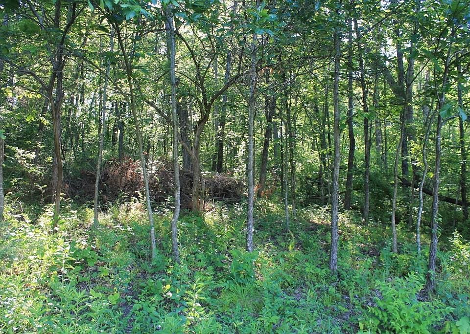 1st image of 0 Bubbling Brk Lot 39