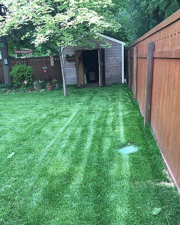 Backyard Shed