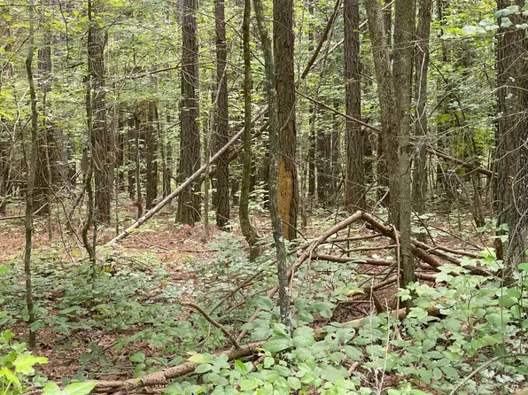 502 County Road 285, Niota, TN 37826