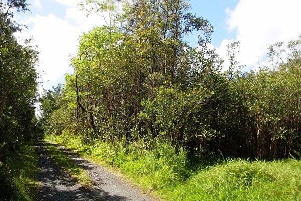 2nd image of Road 11