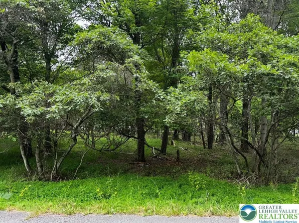 1850 Chippewa Trl, Albrightsville, PA 18210