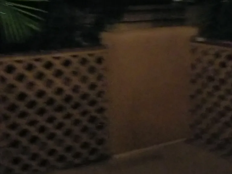 325 Coral Reef Dr — Photo 12