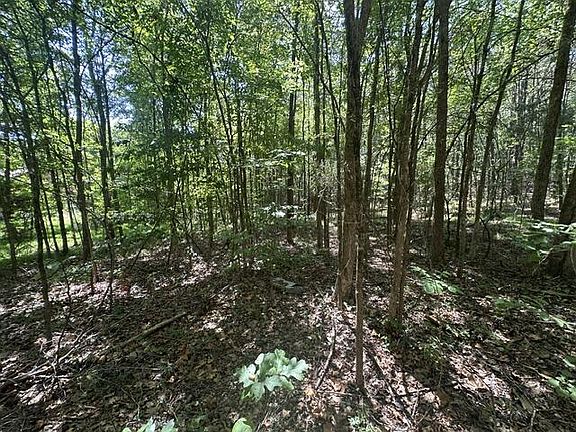 4th image of 0 Red Bud Cir
