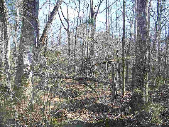 5th image of 3 Grassy Creek Rd #3