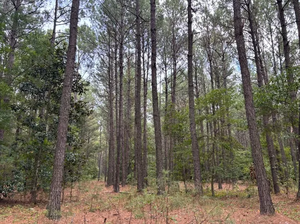 4119 Black River Rd, Gable, SC 29051