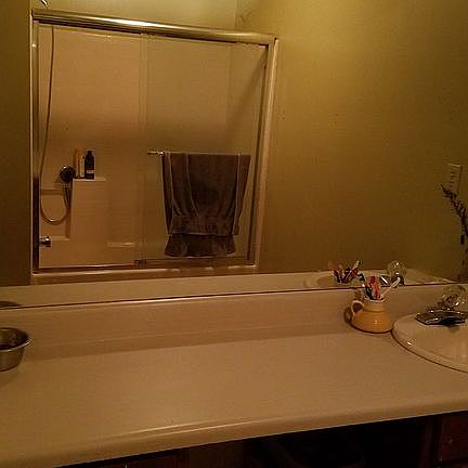 Master bathroom shower and sink