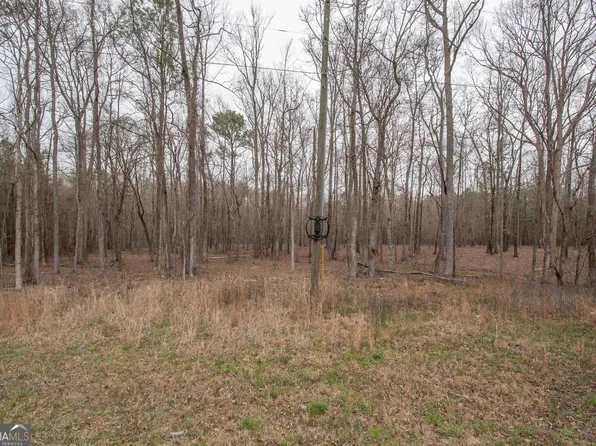 0 Hollonville Rd, Williamson, GA 30292
