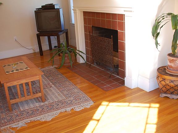 Wood burning fire place