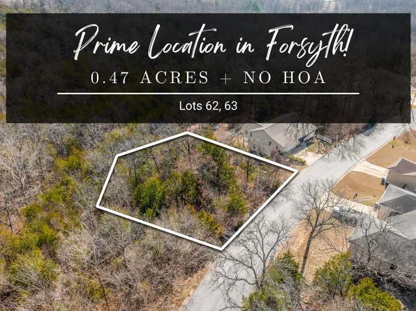 Lots 62 & 63 Eagle Drive, Forsyth, MO 65653
