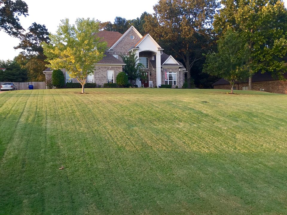 Beautiful Home
