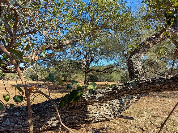 3rd image of 9487 Bauer Rd