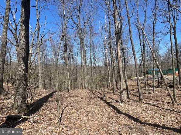 98 Snowridge Cir, Zion Grove, PA 17985