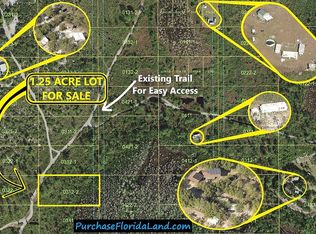 Holopaw Groves Rd, Saint cloud, FL 34773