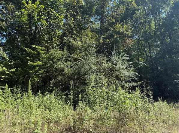 0 Fishermans Trl Lot 406, Huntsville, TX 77320