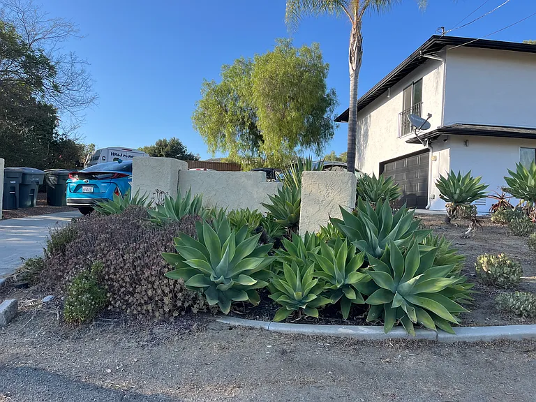 Silver Oak Ln — Photo 19