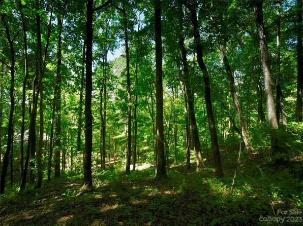 841 Blackthorne Ln Lot 33, Arden, NC 28704