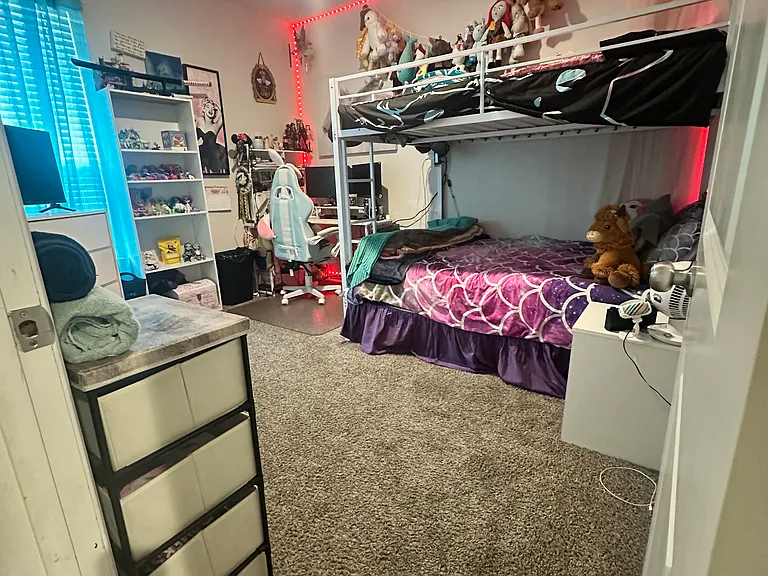 9312 Red Brush Trl — Photo 8