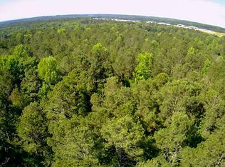 391 Hog Liver Rd, Carrollton, GA 30117