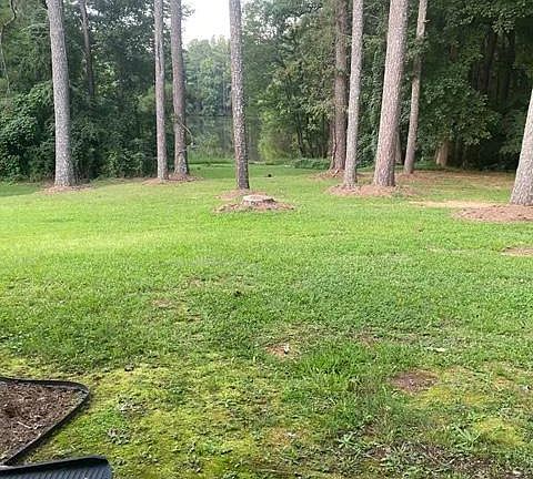 Backyard & private lake