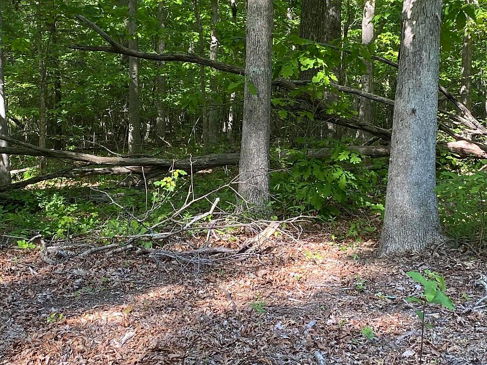 2nd image of 4035 Kila Dr