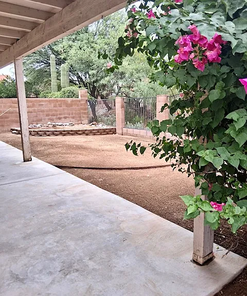 3529 W Camino De Caliope — Photo 13