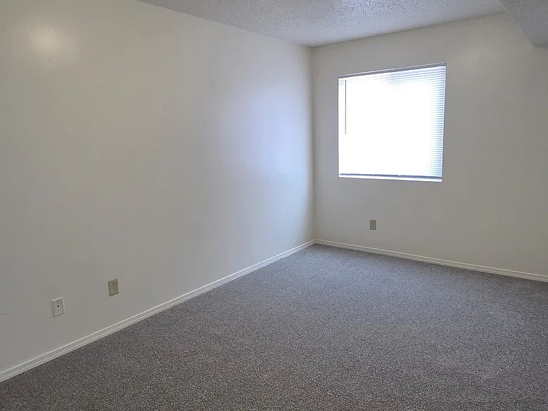 Cozy bedroom with new carpet, freshly painted walls, and a bright window.