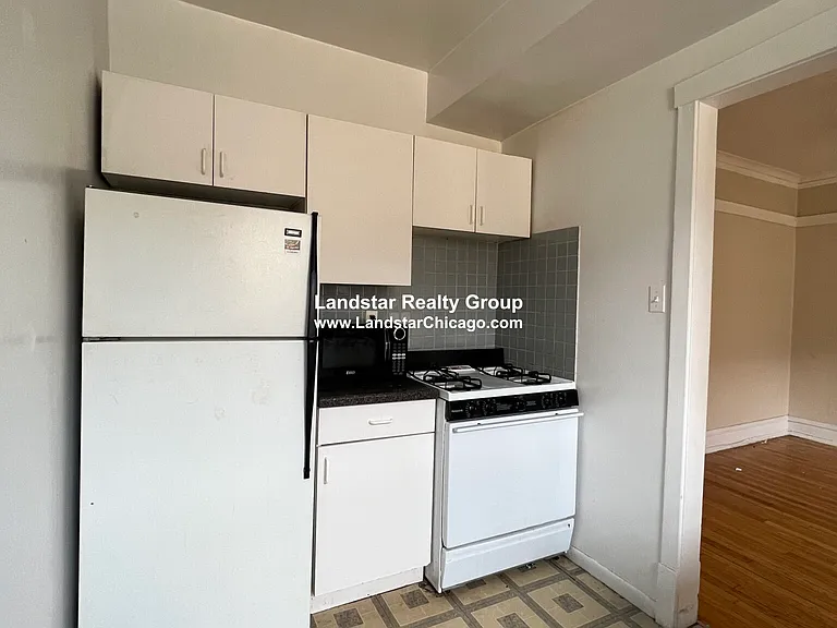 5131 N Damen Ave #3 — Photo 7