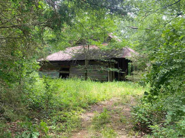 Tbd1 Stevenson Rd, Pencil Bluff, AR 71965