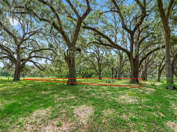 LOT 12 County Road 543, Bushnell, FL 33513