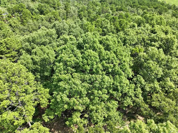 Rolling Oaks Ln, Mena, AR 71953