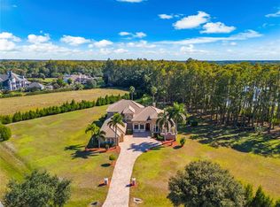 17336 Ballmont Park Dr, Odessa, FL 33556