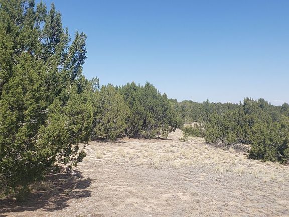 5th image of 8720 Sun Valley Dr Lot Wp001