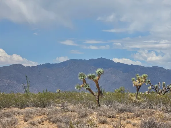 243-10-020 S Alamo Road, Yucca, AZ 86438