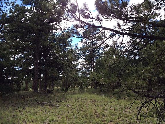 3rd image of 640 Black Mesa Cir